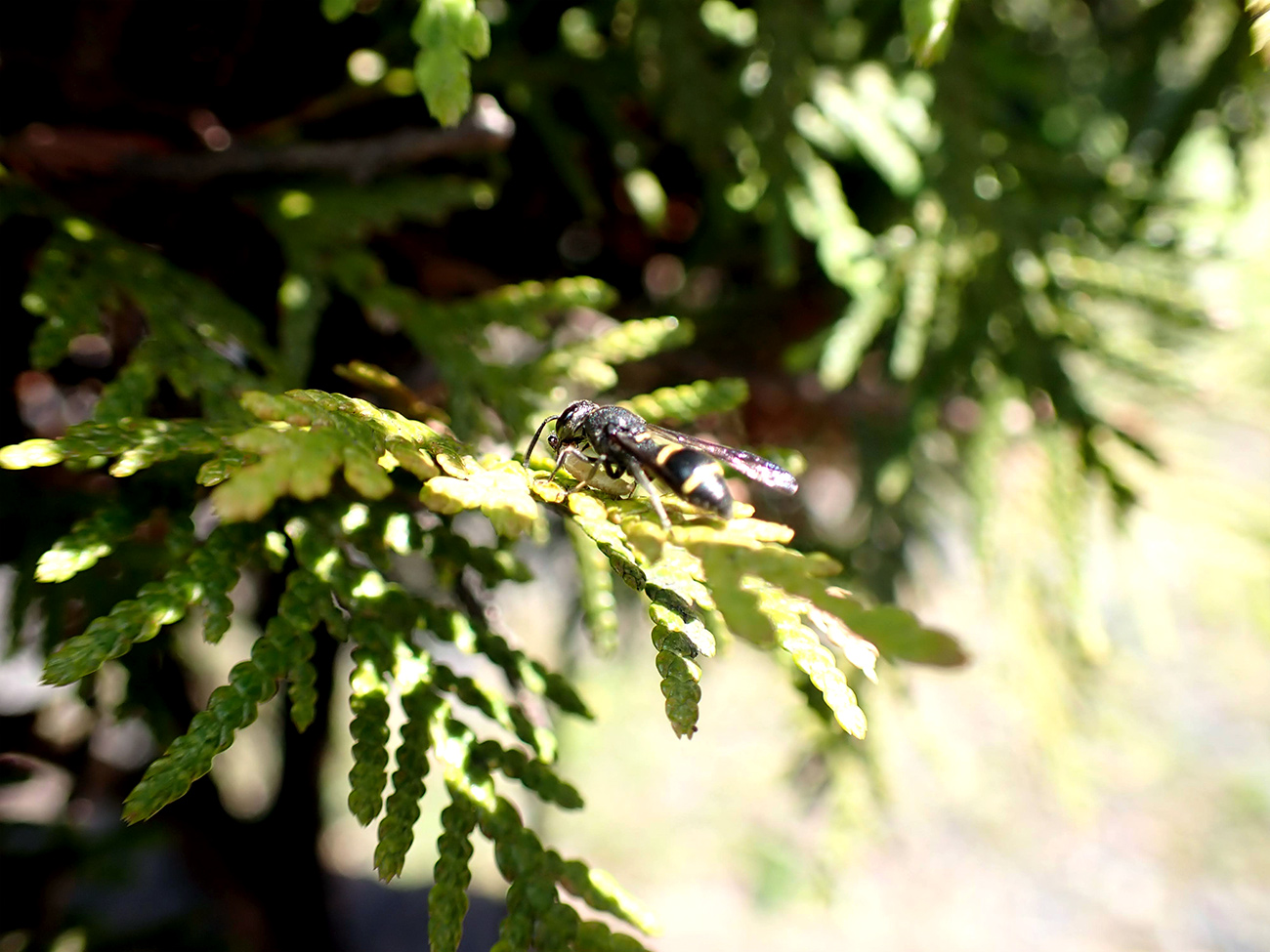 20210503_1.jpg